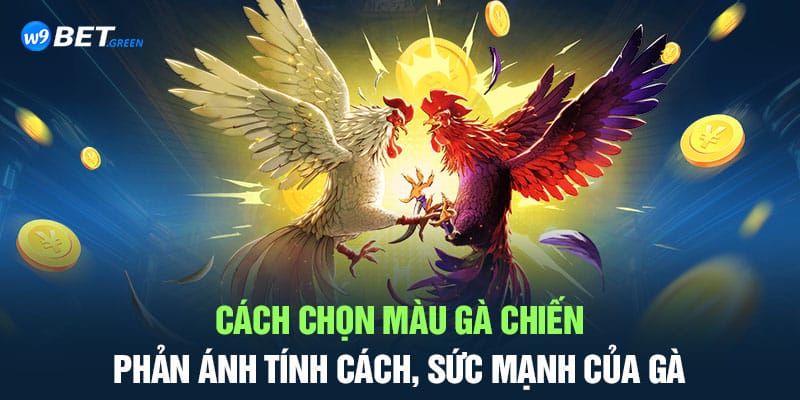 cách chọn màu gà chiến