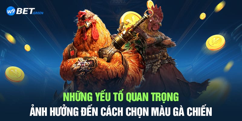 cách chọn màu gà chiến