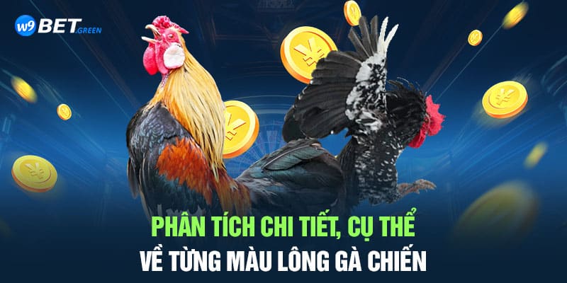 cách chọn màu gà chiến